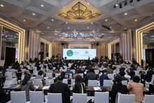 陈流光副总理在会上发表讲话。