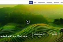 该网站迅速、精准多维地更新并提供有关越南的信息。(截屏图）