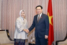 越南国会主席王廷惠会见印尼财政稽查署署长。