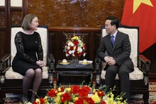 爱尔兰驻越大使迪尔德丽·尼·法伦向越南国家主席武文赏递交国书。