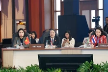 越南国会副主席阮德海在会议上发表重要讲话。
