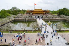附图。