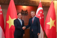 越南外交部长裴青山与新加坡外交部长维文。