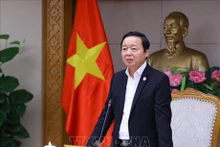 政府副总理陈红河。