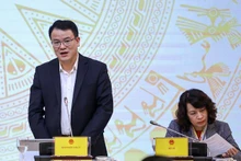 越南计划与投资部副部长陈国方作报告。
