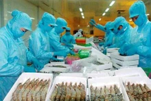 越南茶荣省努力提高海洋捕捞业经济效益