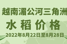 越南湄公河三角洲水稻价格(2022.8.22~28)【图表新闻】