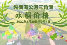 越南湄公河三角洲水稻价格（2022.8.29~9.4）【图表新闻】