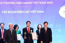 越南电力集团跻身2022年越南十大品牌榜单。