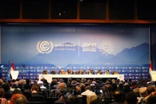 《联合国气候变化框架公约》第二十七次缔约方大会场景。