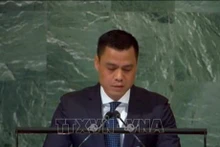 越南常驻联合国代表团团长邓黄江大使在联合国大会上发言。