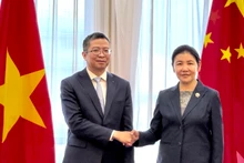 越南驻华大使范清平与中国司法部部长贺荣握手。