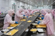 越南农林水产品贸易顺差增长71.5%