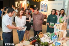 越南向游客推介本国传统饮食文化。