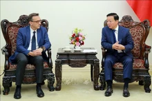 越南政府副总理陈红河会见法国达飞海运集团副总裁马修•弗里德贝格。（图片来源：越通社）