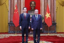 越共中央总书记、国家主席苏林接受中国新任驻越大使何炜递交国书。（图片来源：越通社）