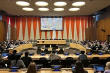 联合国经济与社会理事会会议场景。（图片来源：越通社）