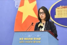 越南外交部发言人范秋姮。