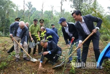 各位代表已在菊芳博物馆周边种植106棵树。（图片来源：宁平报）