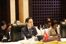 越南外交部副部长、东盟高官会越南代表团团长杜雄越率越南代表团出席会议。（图片来源：越通社）
