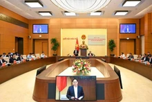 越南国会党团与政府党组召开会议。