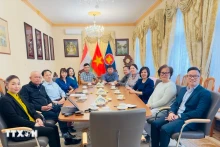 越南驻匈牙利大使阮氏碧草与旅居匈牙利越南人代表和长沙俱乐部成员会面。（图片来源：越通社）
