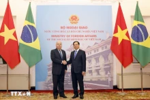 越南外交部长裴青山与巴西外长毛罗·维埃拉。