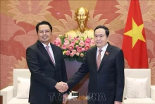 越南国会主席陈青敏会见印度尼西亚参议院副主席马胡丁。（图片来源：越通社）