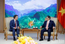 越南政府总理范明正会见国际货币基金组织第四条磋商代表团代表保罗·梅达斯。（陈海 摄）