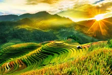 越南安沛省木江界诗情画意的田园风景吸引游客前来观赏。（图片来源：安沛省门户网站）