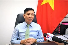 越南驻马来西亚大使丁玉玲。