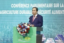 国会主席陈青敏出席法语国家议会论坛。（图片来源：越通社）