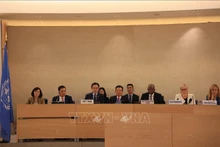 越南强化在保护与促进人权的决心。（图片来源：越通社）