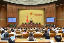 会议场景。（图片来源：政府门户网站）