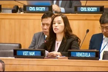 越南常驻联合国代表团副团长黎氏明钗公使衔参赞发表讲话。