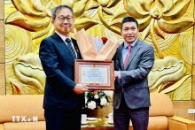 越南友好组织联合会主席潘英山向日本驻越大使山田贵雄（Yamada Takio）授予“致力于各民族和平友谊”纪念章。（图片来源：越通社）