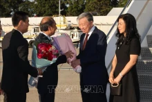 苏林总书记、国家主席和夫人抵达纽约，开始赴美出席未来峰会、第79届联合国大会一般性辩论和开展各项活动之行。（图片来源：越通社）