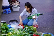 附图。（图片来源：民智报）