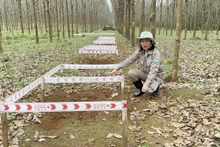 阮氏妙玲女士。