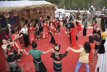 “精彩的羊蹄甲花节之夜”街头游行活动首次在奠边省举行。