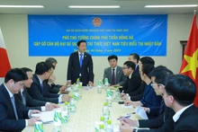 越南政府副总理陈红河会见日本气象水文领域专家团。