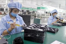 为促进人工智能和半导体产业的发展，越南将聚焦多个关键举措，降低企业和民众的成本，减少行政审批，精简不必要的行政手续。（图片来源：越通社）