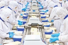 坐落在朔庄省周成县安协乡安业工业区的财金英水产加工股份公司的出口虾类加工生产线。（金英 摄）