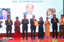 10月4日晚，海防市越中友好协会举行仪式，宣布在海防市成立越中企业俱乐部。（图片来源：越通社）