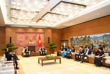 越南国会主席陈青敏会见摩洛哥众议院秘书长纳吉布·哈迪。