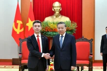 越共中央总书记苏林会见欧盟驻越南代表团团长朱利安·古尔利尔【组图】