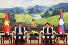 老挝人民革命党中央委员会总书记、国家主席通伦·西苏里（右）与越共中央书记处书记、中央宣教部部长阮重义。