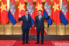 越南国会主席王廷惠会见柬埔寨首相洪玛奈。