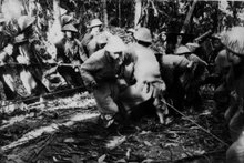 我军的炮兵战士勇敢克服所有困难和险阻，凭借双手将数十吨重的各架火炮拉进阵地，为战役获得胜利作出应有贡献。（图片来源：越通社）