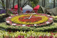 2023年越南花卉展在河内开幕。